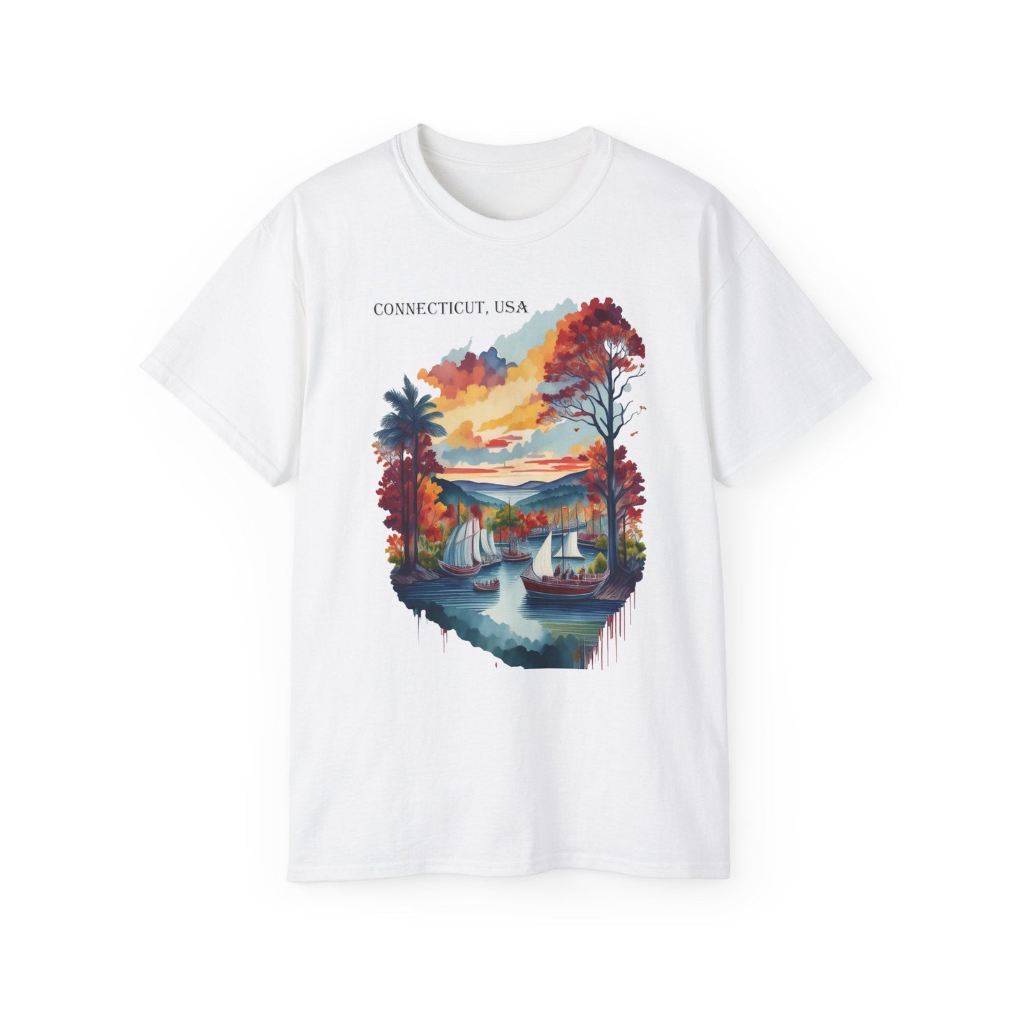 Connecticut Graphic Unisex Cotton T‑Shirt 1