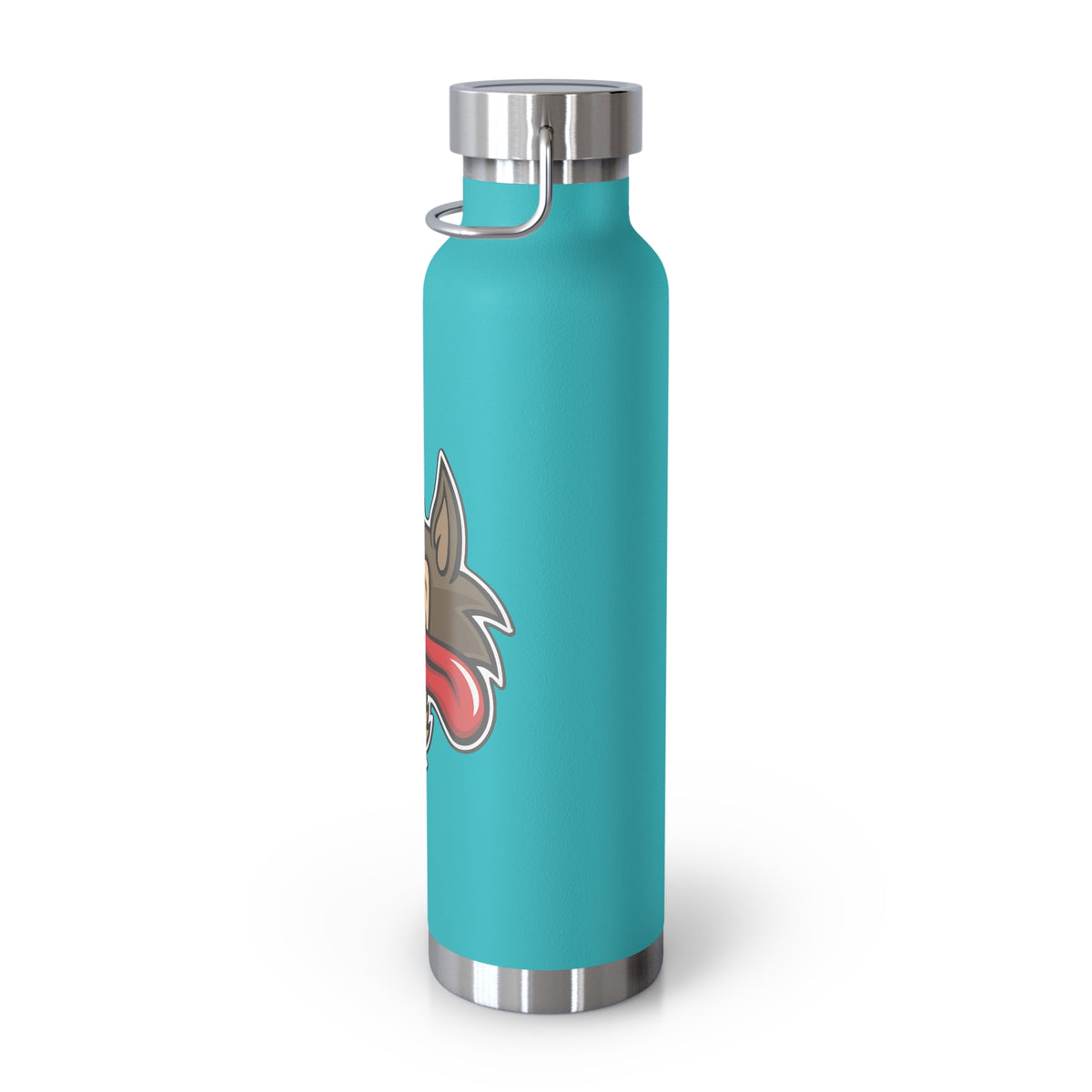 22oz Copper Insulated Water Bottle with Cartoon Design - CV71