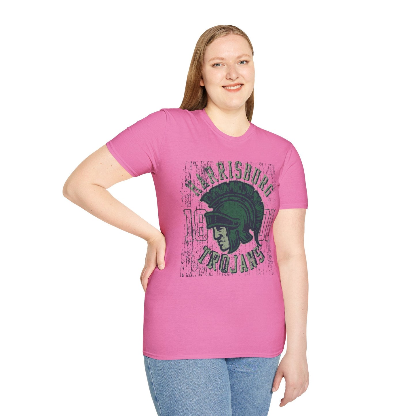 Unisex Gildan Softstyle 64000 Art Design Graphic T Shirt With Artwork Print For Everyday Wear