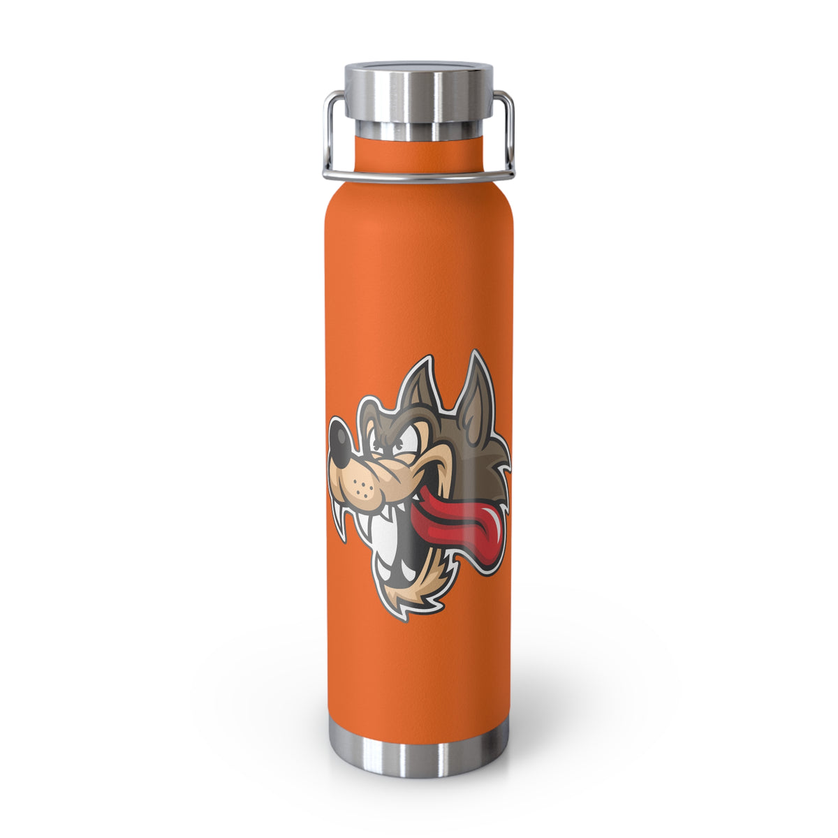 22oz Copper Insulated Water Bottle with Cartoon Design - CV71