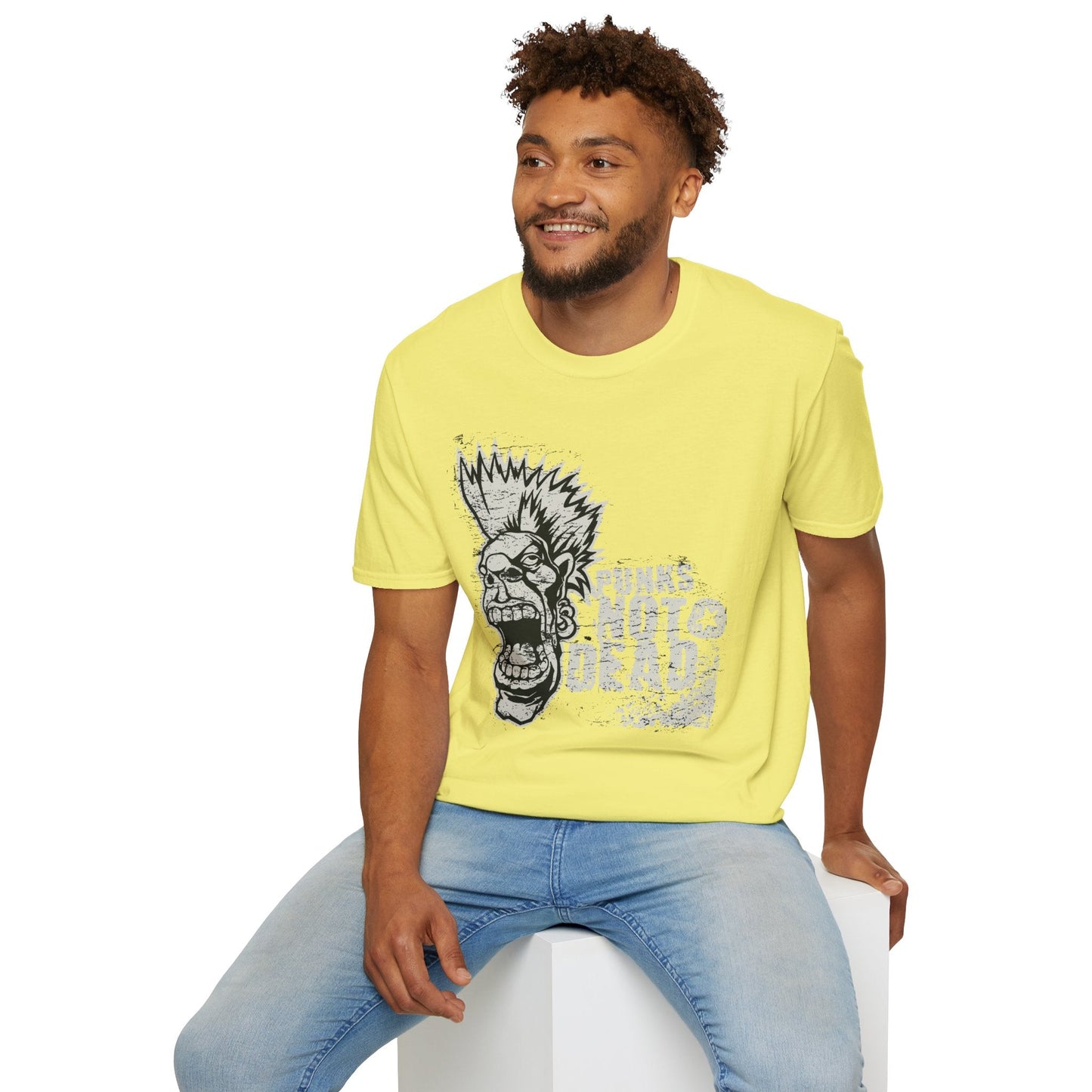 Art Design Graphic Unisex Softstyle T Shirt With Graphic Art Tee For Everyday Wear
