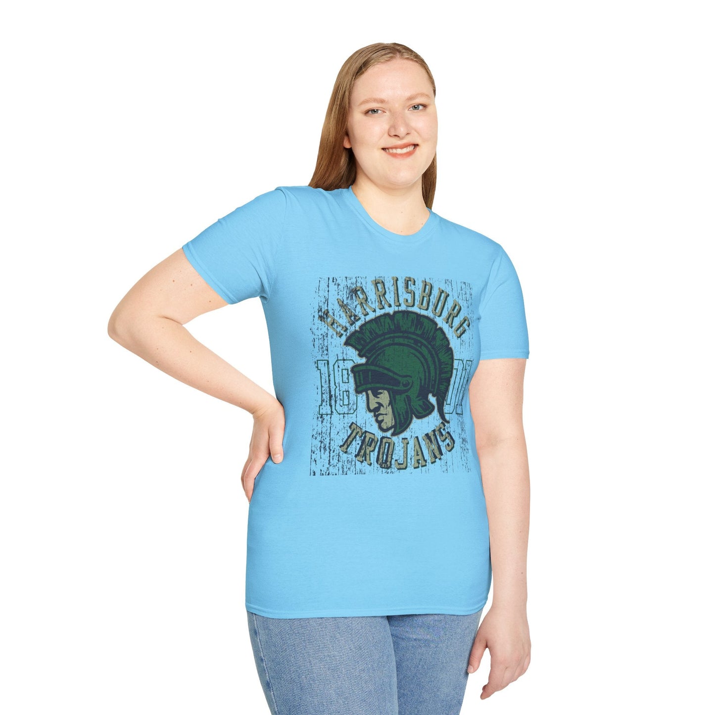 Unisex Gildan Softstyle 64000 Art Design Graphic T Shirt With Artwork Print For Everyday Wear