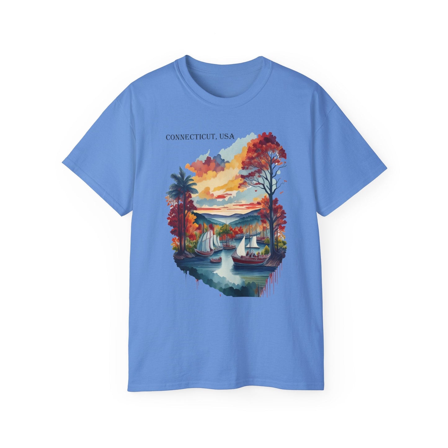 Connecticut Graphic Unisex Cotton T‑Shirt 1