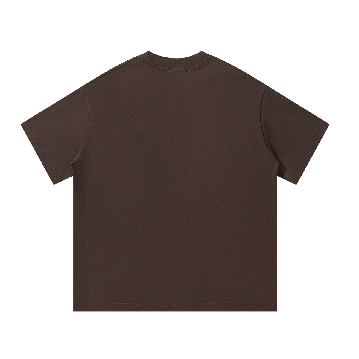 Parrot Beach Unisex Oversized 100 Cotton T-Shirt
