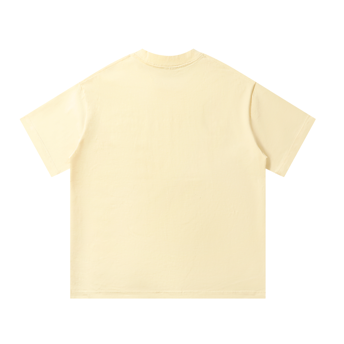 Parrot Beach Unisex Oversized 100 Cotton T-Shirt